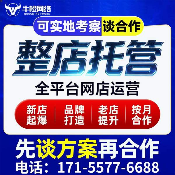 黄山电商代运营