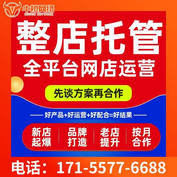 黄山电商代运营