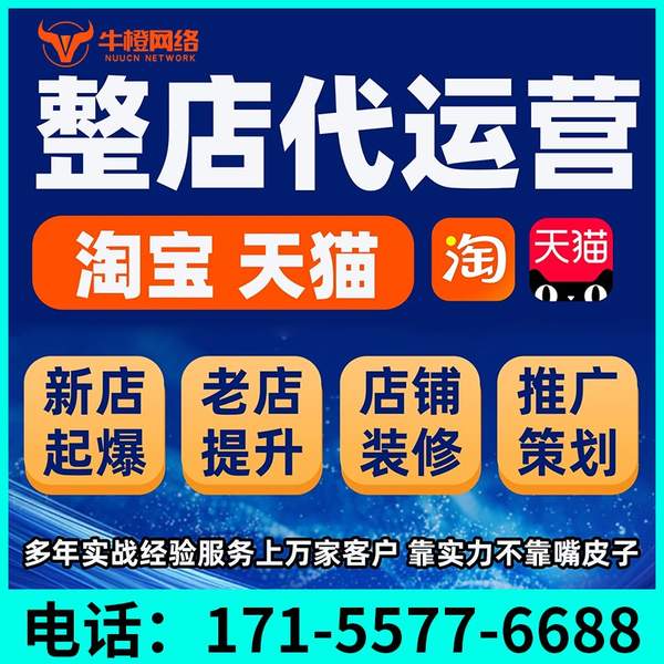 黄山电商代运营