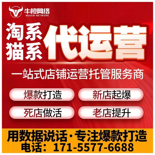 黄山电商代运营